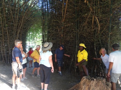 Inside the bamboo hut